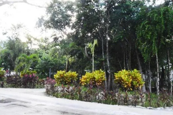 La Casa Del Arbol -4bed 3 Bath Сasa de vacaciones Puerto Morelos
